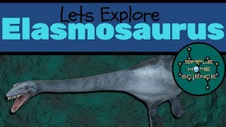 Elasmosaurus Facts For Kids  The Thin Plate Lizard [upl. by Gamaliel]