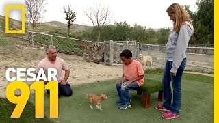 Facing Fears  Cesar 911 [upl. by Jet]