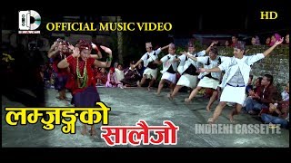 New Nepali Salijo  नया सालैजो  Bishow Dong amp Chij  Pahichan [upl. by Gluck]