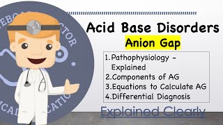 Acid Base Disorders  The Anion Gap Equation Physiology Applications Differential Diagnoses [upl. by Rush145]