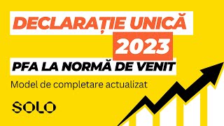 Model completare Declarație Unică 2023 pentru PFA la Normă de Venit [upl. by Iorgos515]