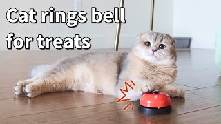 How to train cats to ring bell Cat rings the bell for treats  Teaching our cat to ring the bell [upl. by Akelam]