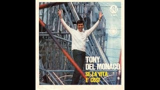 Se La Vita è Così  Tony Del Monaco [upl. by Suzy]