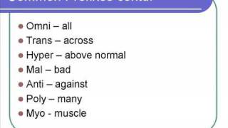 Medical Terminology [upl. by Etteniotna]