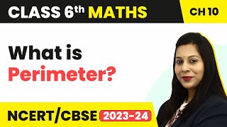 What Is Perimeter  Mensuration  Class 6 Maths [upl. by Chrysa]