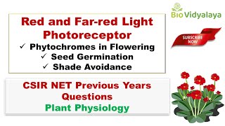 Far Red Light and Cannabis Plant Growth [upl. by Ardiedak]