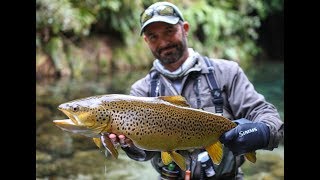 Fly fishing New Zealand the DREAM STREAM [upl. by Aubine391]