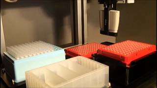 Magnetic Bead Prep 8x for DNA extraction High Throughput Lab Automation [upl. by Michi]