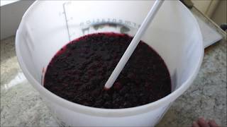 Natural Blackberry Wine [upl. by Astrahan24]