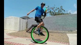 Unicycling Parrot [upl. by Twedy]