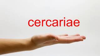 How to Pronounce cercariae  American English [upl. by Elspet]