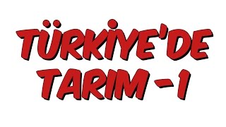 10dk da TÜRKİYEDE TARIM 1 Tonguc Akademi Talha DOGAN [upl. by Anerom]