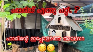 ഫാമിന്റെ ഇപ്പോളത്തെ അവസ്ഥ 😒😒 [upl. by Ydnor]