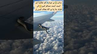 Flying snack on commercial airliner wing shortvideo aviation pafpilots americanpresident [upl. by Mellar]