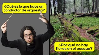 Respuestas a Preguntas Curiosas 😧🤩 PyR18 [upl. by Ner]