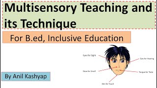 How Occupational Therapy Helps with Sensory Integration Issues [upl. by Ramos]