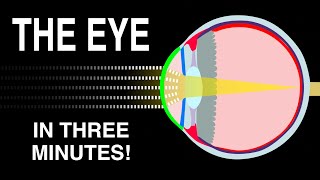 How does signal integrity affect eye diagrams [upl. by Ahsimit]