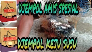 Djempol amis spesial amp keju susu penguras empang  mantul [upl. by Anoy]