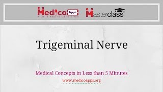 Trigeminal Nerve System [upl. by Neiluj807]