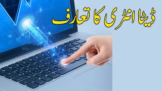 What is Data Entry Explained in Urdu [upl. by Burchett520]