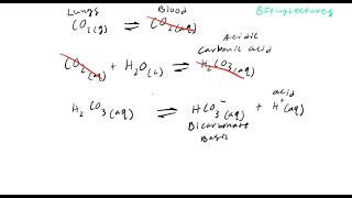 Biochemistry Lecture 3 Physiological Buffers [upl. by Luane]