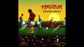 MEDISUN  GREENA GRASS  SKYWAY RIDDIM  JAH T JR  TRAVELLERS [upl. by Esenwahs]