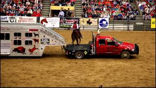 Onearmed bandit John Payne with His Buffalo at the MidAmerica Horse Fair in 2011 [upl. by Adamek]