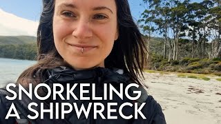 snorkeling SHIPWRECK in Fortescue Bay Tasmania [upl. by Ardeahp]