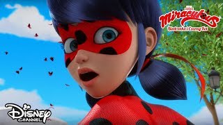 Biedronka kontra Władca Ciem  Miraculous Biedronka i Czarny Kot  Disney Channel Polska [upl. by Reyna]