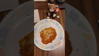 Trying Stouffers Lasagna for Dinner [upl. by Enelrad325]