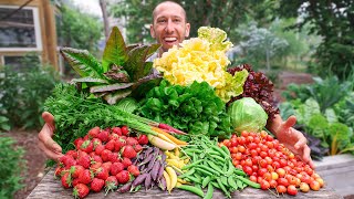 Unbelievable Backyard Garden Harvest This is What I Harvested Today [upl. by Inalaek]