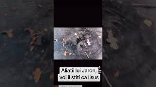 Astia sunt aliatii lui Jaron care voi il stiti ca Iisus [upl. by Bjork]