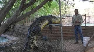 Malcolm Douglas Crocodile Park Broome Western Australia [upl. by Sihunn]