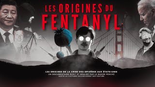 Crise du Fentanyl Les Origines de lÉpidémie qui Décime lAmérique [upl. by Earized]