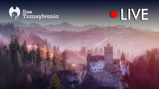 Castelul Bran  Draculas Castle  Casa din Bran 🔴 Live Webcam [upl. by Eerdna]