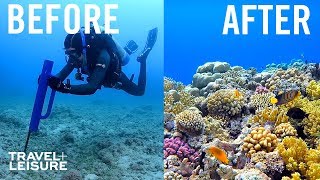 How Scientists Are Restoring The Great Barrier Reef  Travel  Leisure [upl. by Ecnarf597]