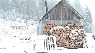 Off Grid Cabin in the Woods Start to Finish [upl. by Harwin]