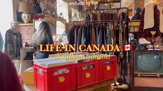 LIFE IN CANADA Camping in Killbear Provincial Park  Khám phá cuộc sống ở Canada 🇨🇦 [upl. by Lenahc]