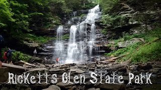 The Falls Trail of Ricketts Glen State Park PA [upl. by Enibas]