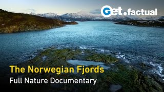 The Norwegian Fjords  Life in the Twilight  Full Nature Documentary [upl. by Donetta]