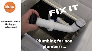 Replacing a concealed Cistern Flush Pipe [upl. by Hermione]