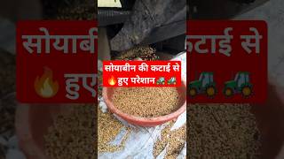 सोयाबीन ने इस साल loss कर दिया soyabean farming [upl. by Peppy299]