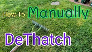 How To DeThatch A Lawn With A Thatch Rake [upl. by Assilana]