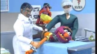 Robot Chicken quotBehind the Music  The Muppetsquot [upl. by Naliorf]