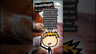 Wachsen Nägel und Haare nach dem Tod weiter💀⚰️ nägel haare wachstum postmortem tod sterben [upl. by Viddah512]