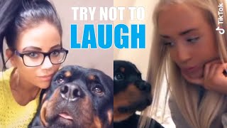 NEW Rottweiler Funny Videos Compilation  Featuring Cute Rottweiler Puppies [upl. by Adnim]