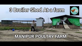 3 Shed broiler Farming  MANIPUR POULTRY FARM❤✌🥰93831168199366618895 [upl. by Aes746]