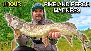 1 Hour of Epic Pike and Perch Fishing Action [upl. by Winnifred550]