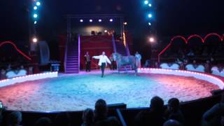 Kerstcircus Belly Wien in EttenLeur [upl. by Vachill]