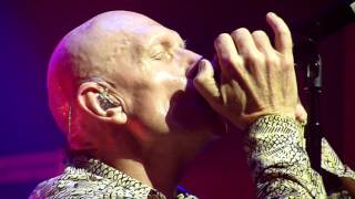 MIDNIGHT OIL  truganini  LIVE  WEBSTER HALL NYC 1452017 [upl. by Ahsatin]